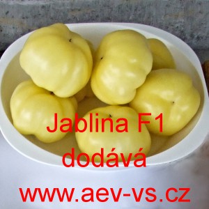Paprika roční rajčinová hybridní Jablina F1