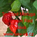 Paprika pálivá čilí Trinidad Moruga Scorpion Red