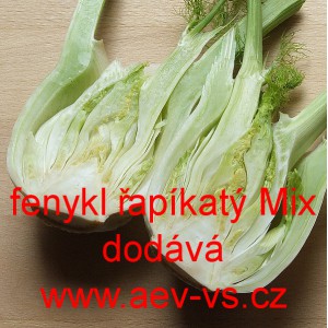 Fenykl obecný řapíkatý Mix