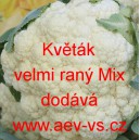 Květák velmi raný Mix