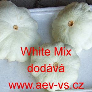 Patizon (Tykev obecná) White Mix