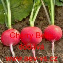 Ředkvička letní Cherry Belle