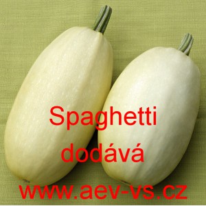 Tykev obecná špagetová Spaghetti