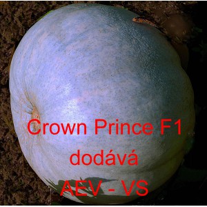 Tykev velkoplodá hybridní Crown Prince F1