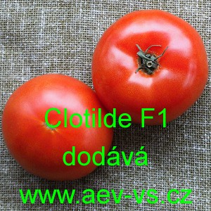 Rajče tyčkové hybridní Clotilde F1